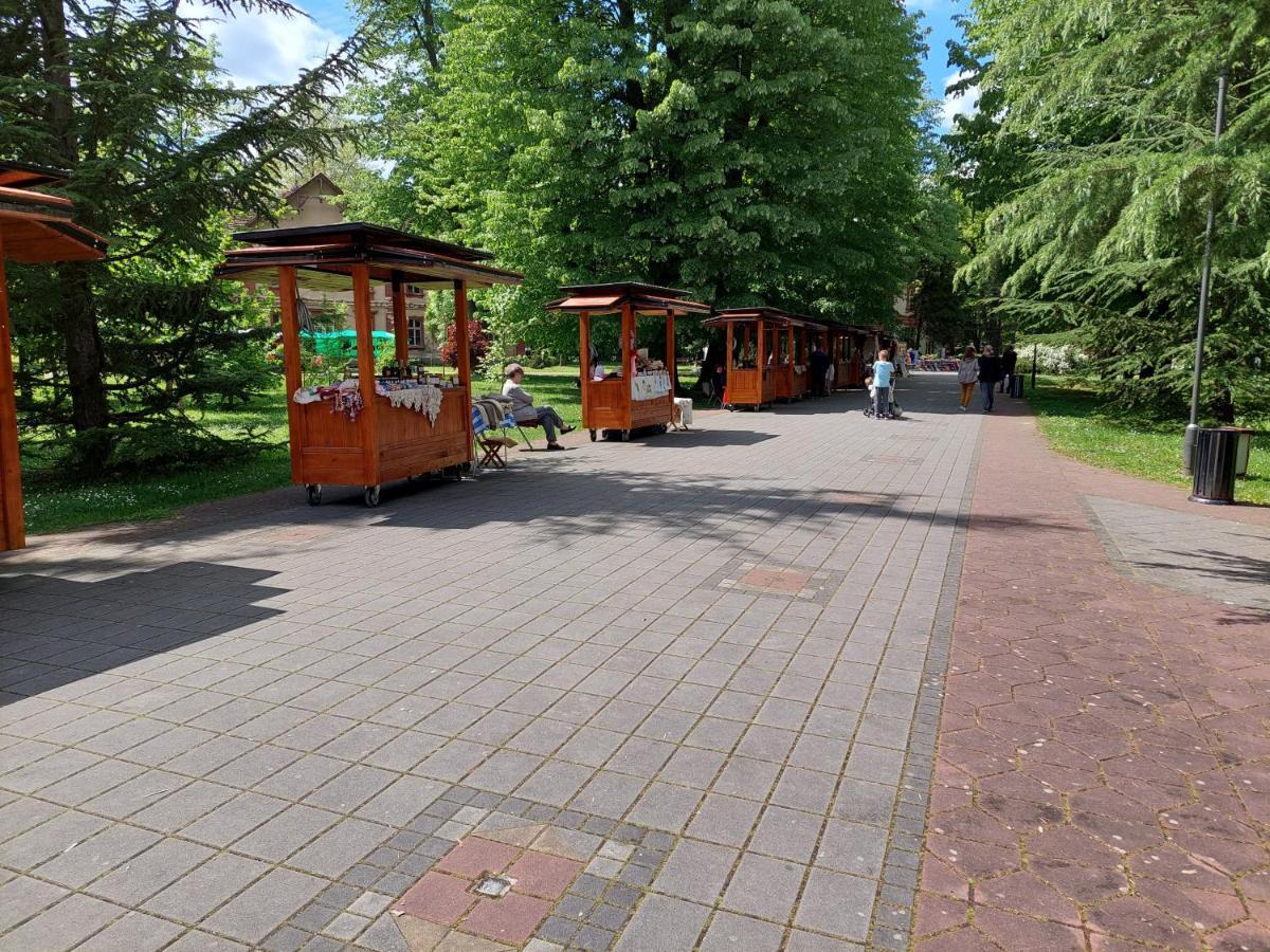 Aleks Sobe Banja Koviljača Exterior foto