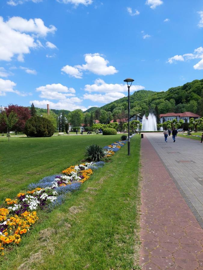 Aleks Sobe Banja Koviljača Exterior foto