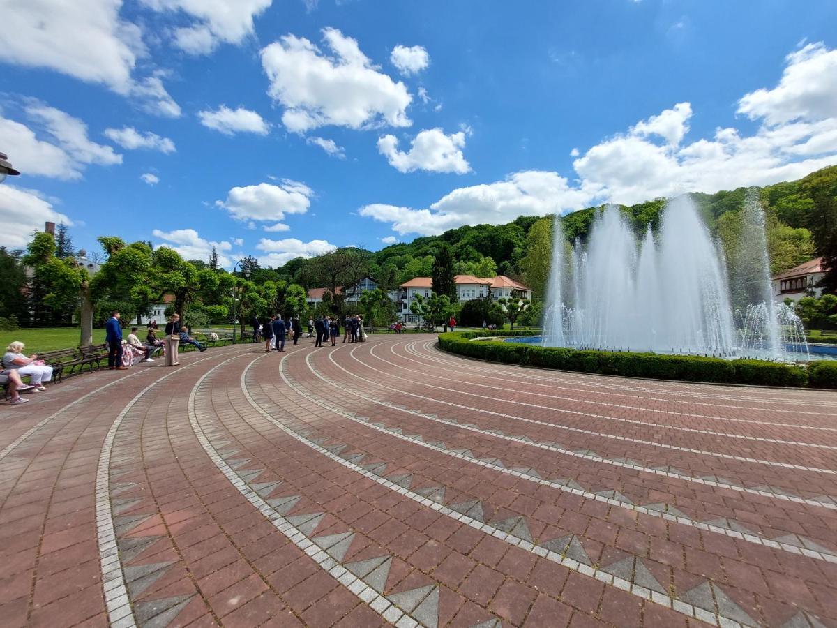 Aleks Sobe Banja Koviljača Exterior foto